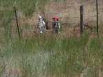Tin man and scarecrow keeping watch in eastern Washington